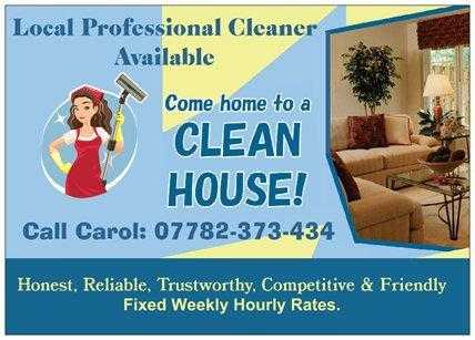 cleaning services