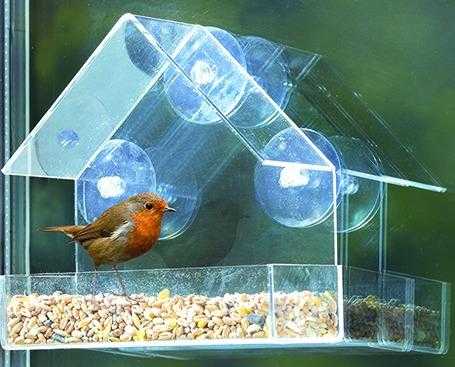 Clear Window Bird Feeder with Free Seed