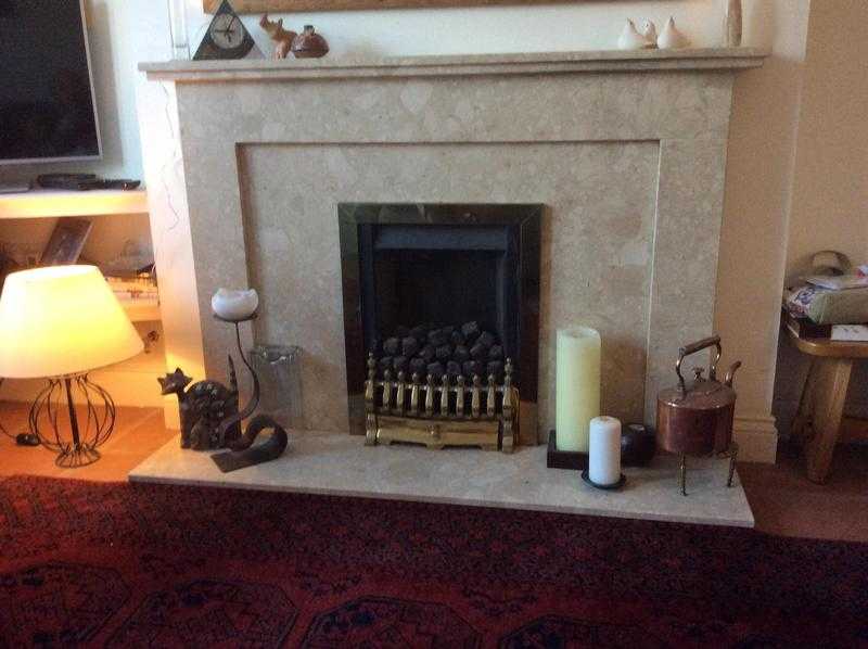 Coal effect gas fire with classic simple marble surround