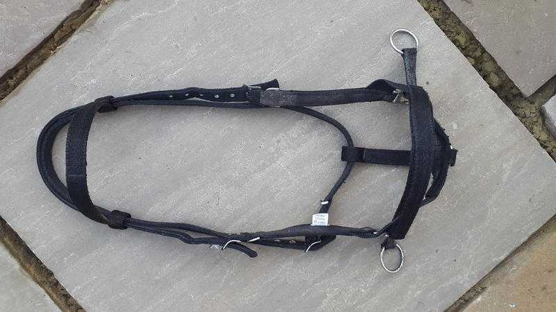 Cob Bitless Bridle