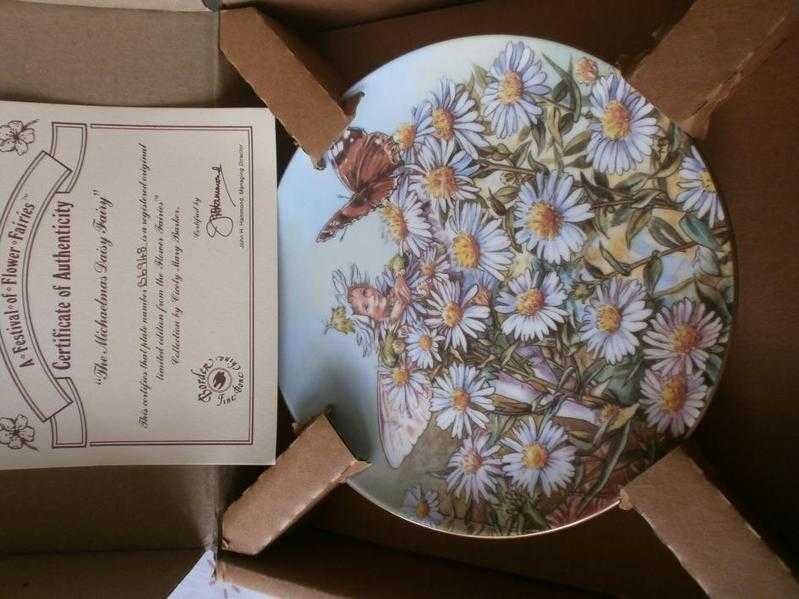 collection plate-the michealmas daisy fairy