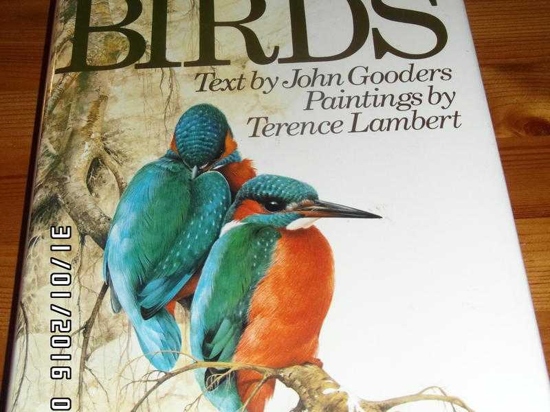 Collins British Bird Book