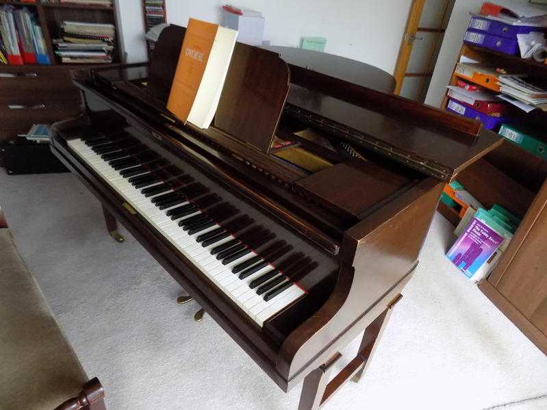 Come and try my Broadwood Baby grand piano    Asking price 1250