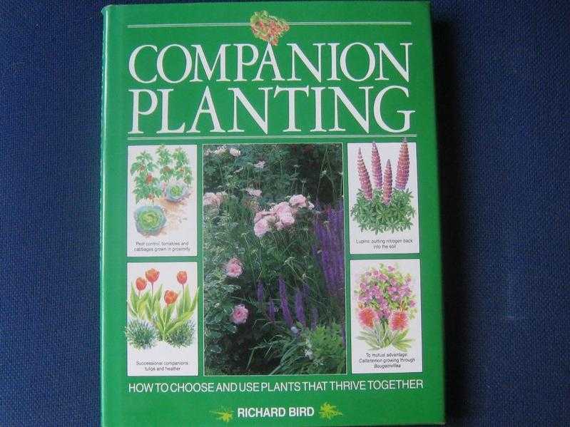 COMPANION PLANTING