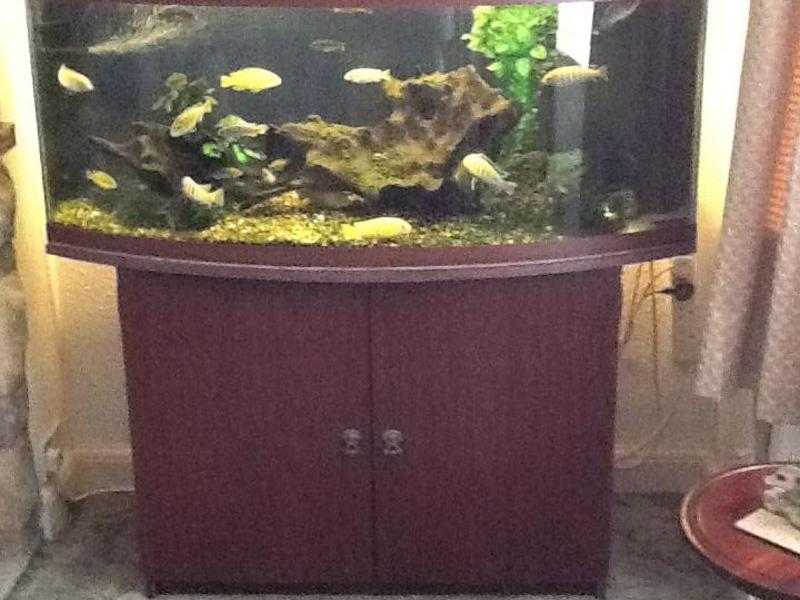 Complete fish tank