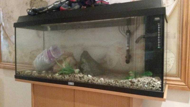 Complete Fish Tank ready to go just need fish and water