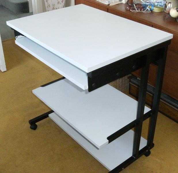 Computer Desk (Professional)