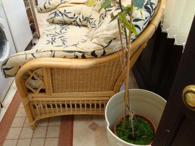Conservatory.Garden 2 seater Wicker Sofa With Cushions