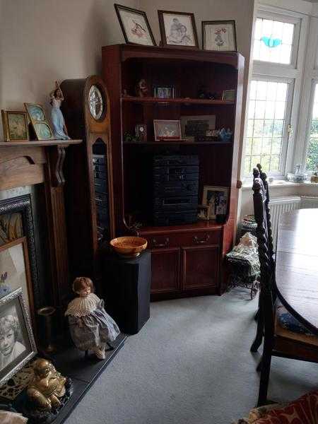 Corner Display Cabinet Wood