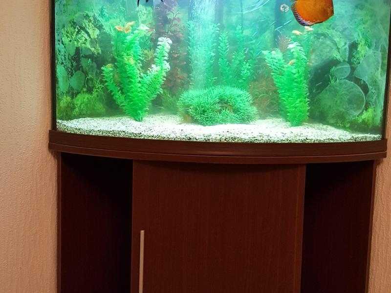 Corner Fish Tank 220 Litre