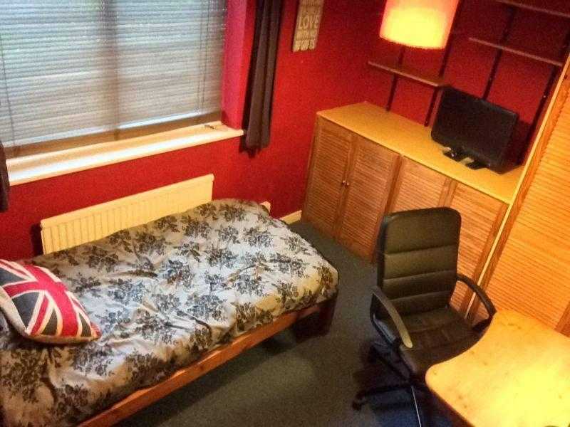 Cosy large single room living with friendly couple