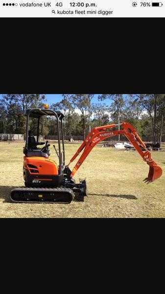 Crawely mini digger hire