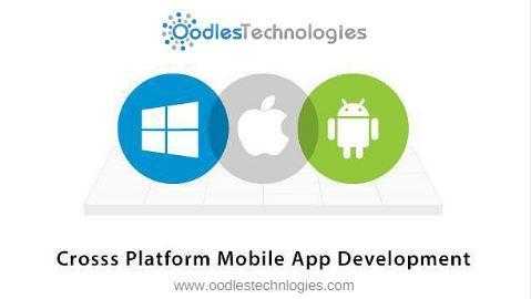 Cross Platform Mobile App Development For Everything