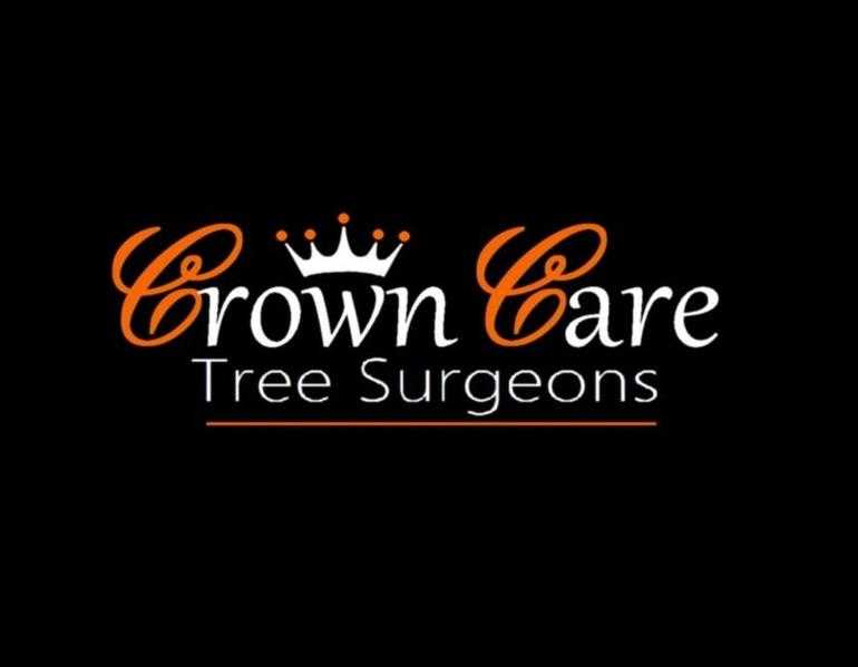 Crown care tree surgeons and hedge cutting services