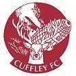 CUFFLEY FC - U15 PLAYERS WANTED FOR 201617 SEASON