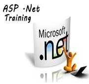 Custom ASP.Net Development  VIT Solutions