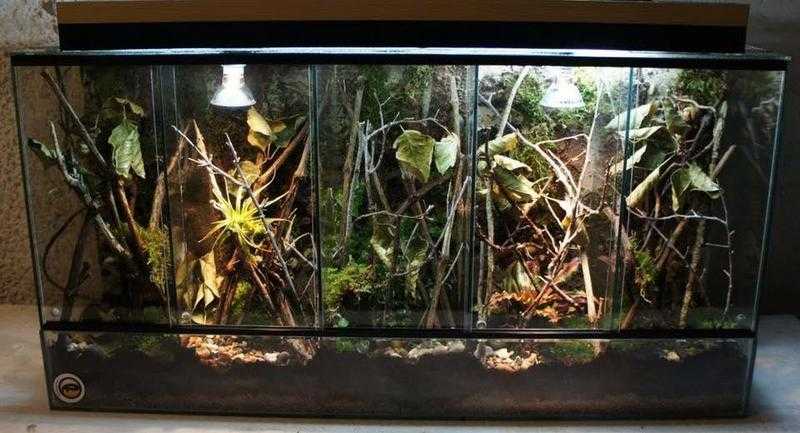 Custom vivarium