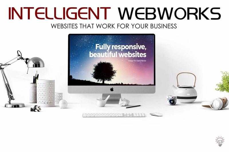 Custom Website Web Design for any Ecommerce Shop Business  FREE HOSTING