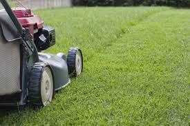 CUTTING GRASS WORTHING.