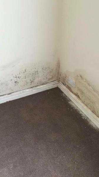 Damp proofing and maintenance