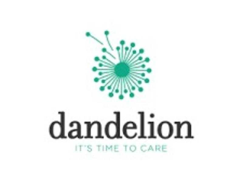 DANDELION Home Care in Benidorm -Spain