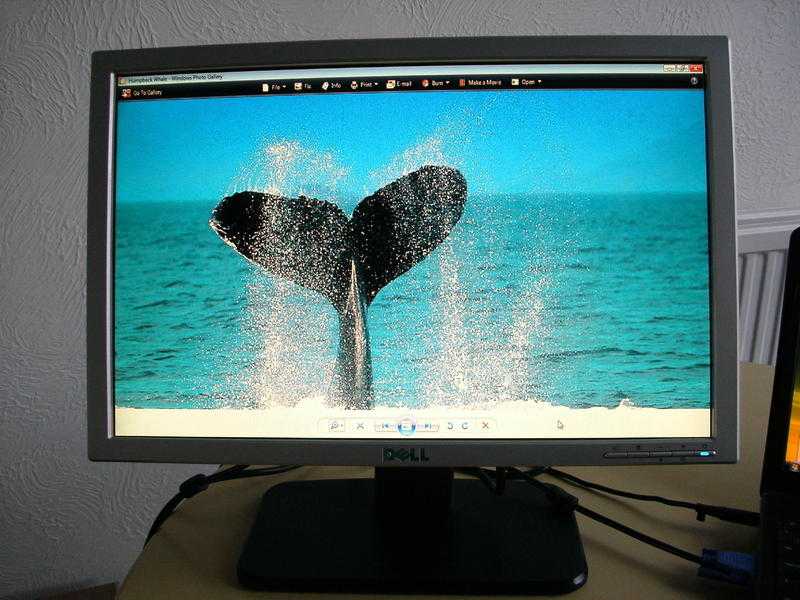 DELL SE198WFP 19quot WIDESCREEN LCD MONITOR, TESTED, VGC, CABLES, WARRANTY