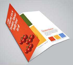 Design your Folded Leaflet Today with Printwin