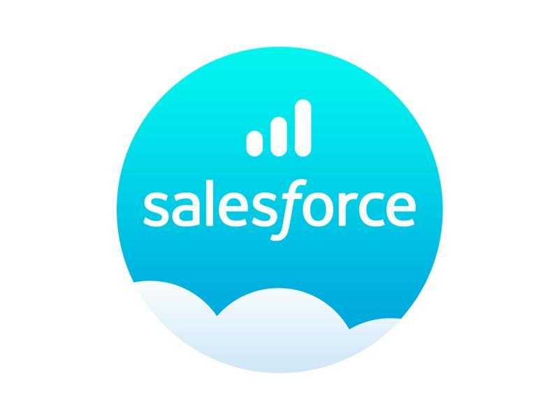 Developer Salesforce