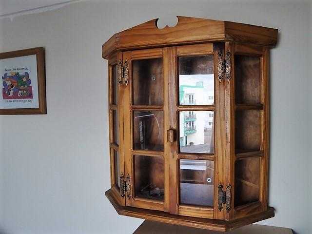 Display Cabinet (Wall Mounted or Free Standing)