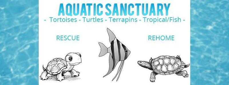 Do you need your TortoiseTurtleTerrapinTropicalFish rehoming  Check out my sanctuary