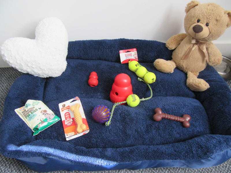 Dog bed and toys