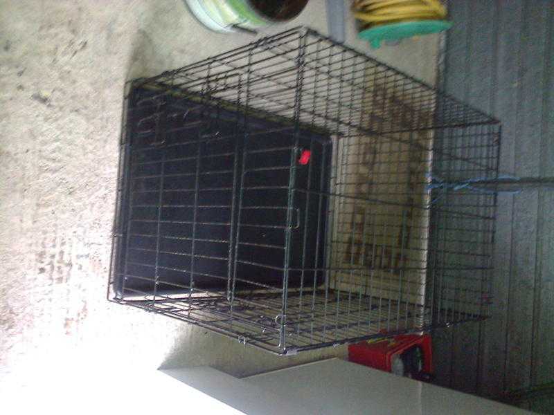 dog cage