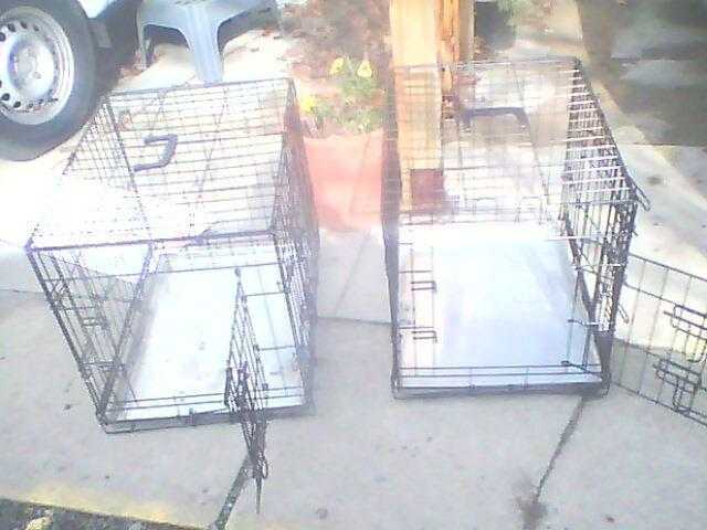 dog cages for sale