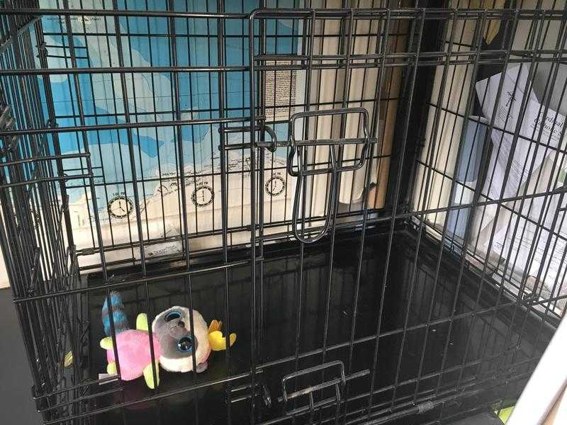 dog crate medium