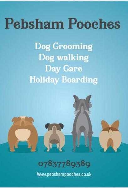 dog grooming. Walking. Day care. Holiday boarding