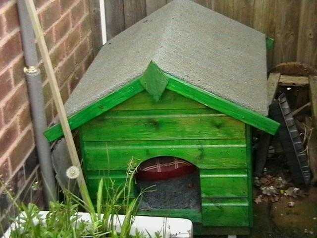 Dog Kennel