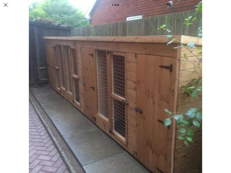 dog kennel and run