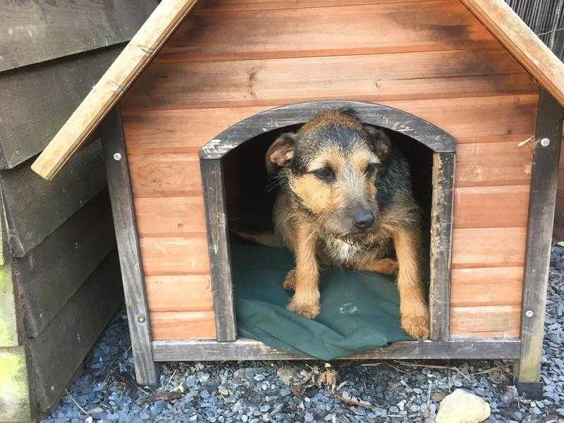 Dog kennel free