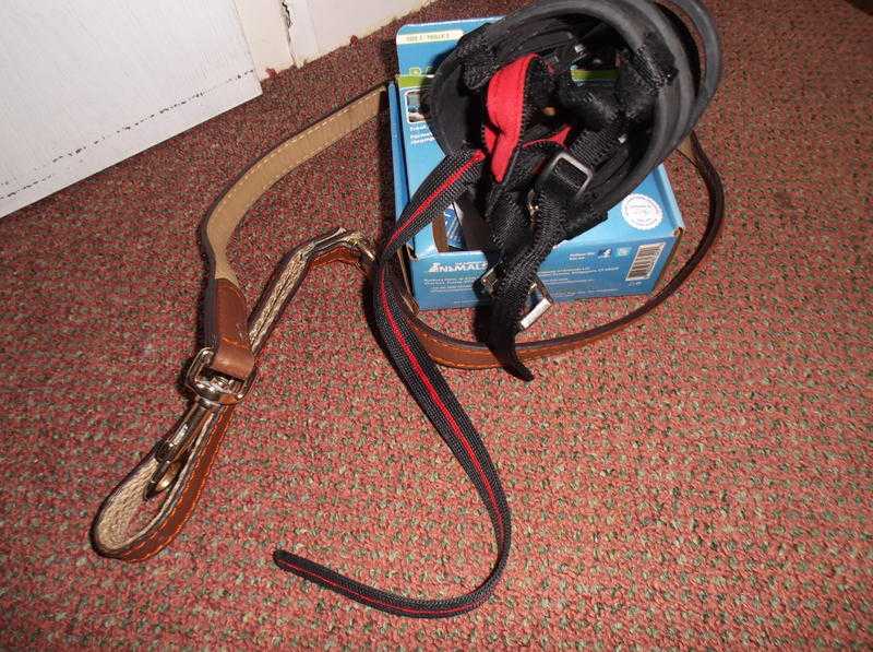 DOG MUZZELleather dog lead