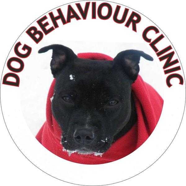 Dog training and behaviour for rescue dogs