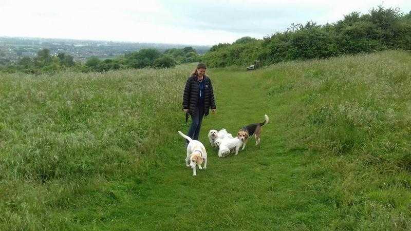 Dog walking service Lancing