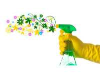 Domestic and Commercial cleaning services