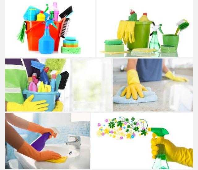 Domestic Angels cleaning services