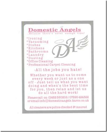 Domestic Angels - Domestic Cleaning