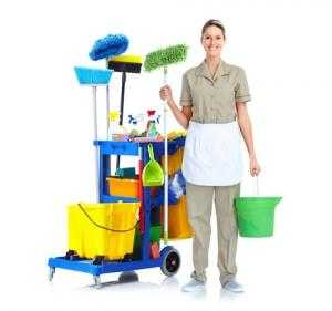 Domestic Cleaner