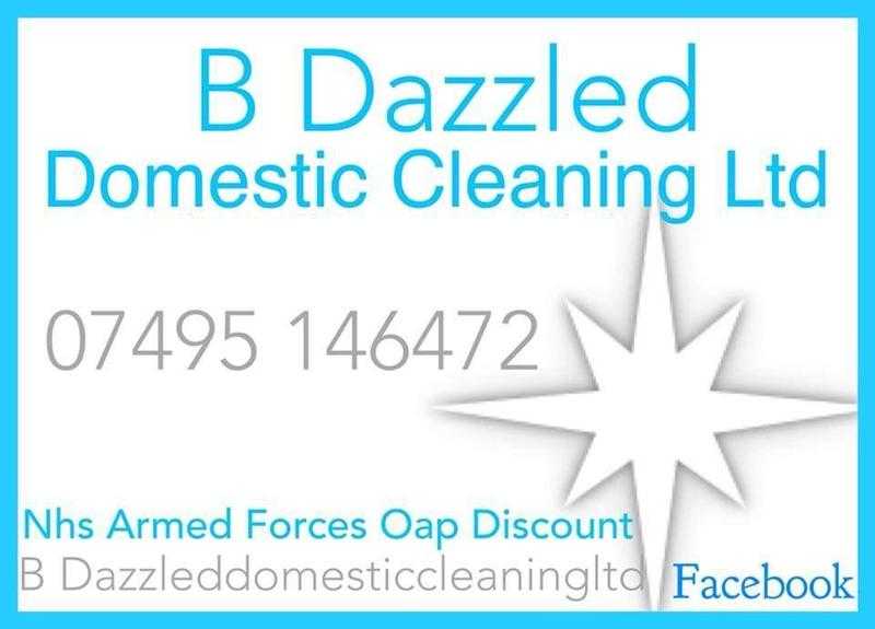 Domestic cleaner