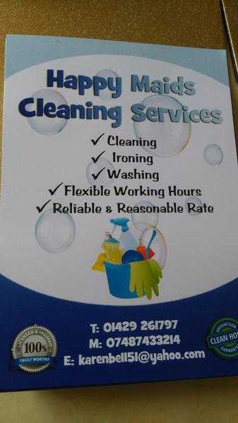 Domestic cleaner