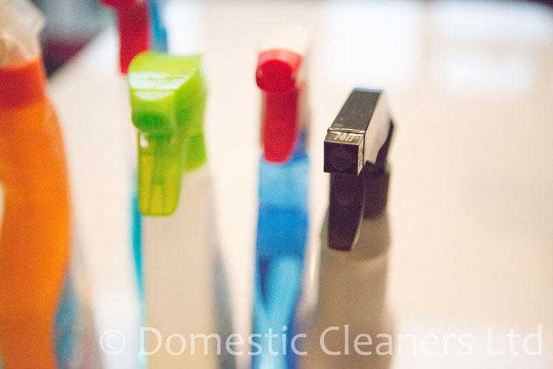 Domestic Cleaners Ltd