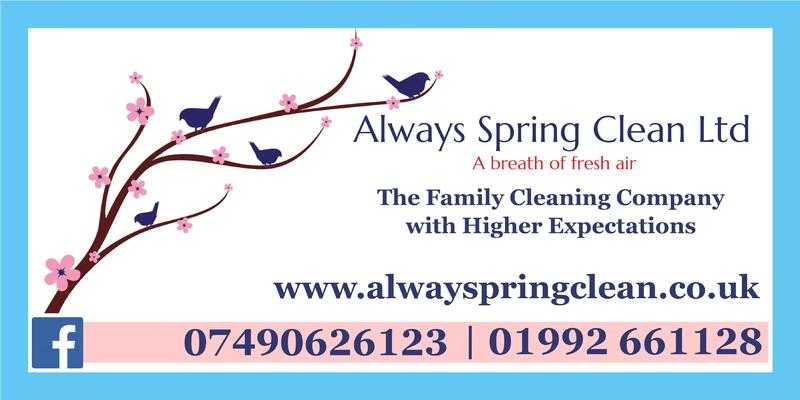 Domestic Cleaners, with an excellent eye for detail, required now