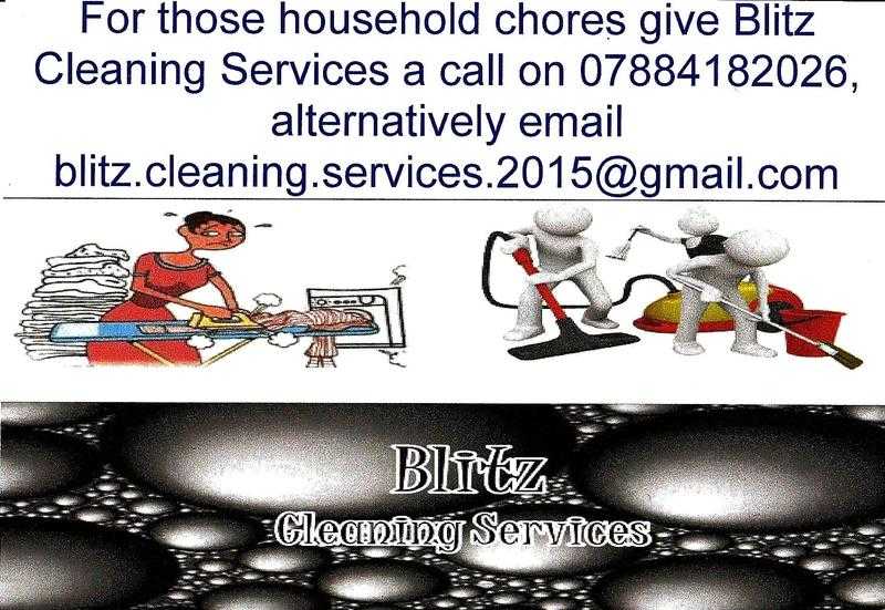 Domestic Cleaning,  iroining services and odd jobs